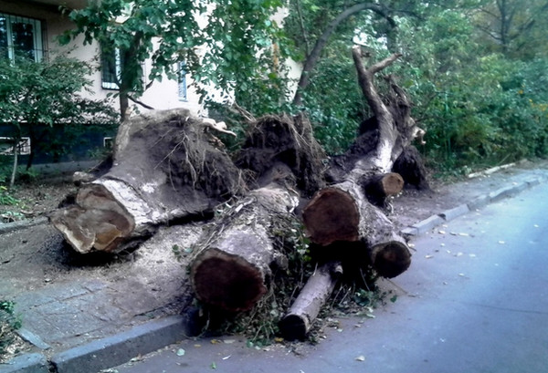 Разгул стихии на одесских улицах